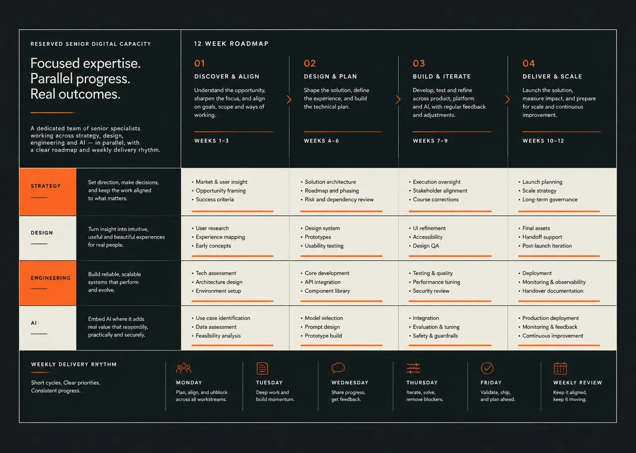 Generic multi-workstream delivery roadmap